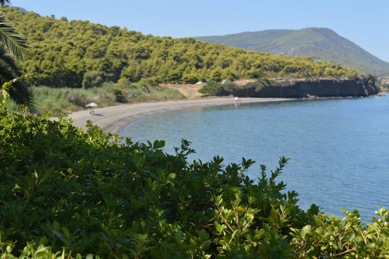 Rokas Village Skhoínos Dış mekan fotoğraf